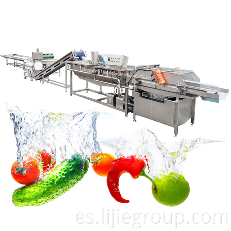 Washing Processing Production Line